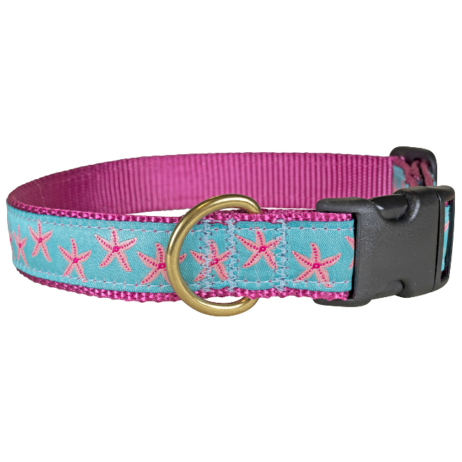 Starfish Aqua 1" Dog Collar