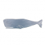 Whale Plaque