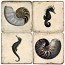 Seahorse And Shell Marble Coasters