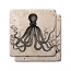 Octopus Marble Coasters Set Of 2