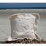 Sea Turtle Canvas Sea Pillow