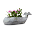 Whale Planter 
