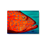 Coral Grouper Cutting Board