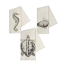 Sea Life Hand Towels Set Of 3
