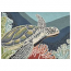 Liora Manne Ravella Akumal Indoor/Outdoor Rug - Blue, 24" By 36"