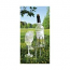 Picnic Stake Set