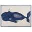 Humphrey The Whale Tea Towels Set Of 2