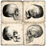 Skull Marble Coasters