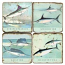 Big Fish Marble Coasters