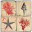 Shell, Starfish And Corals Italian Marble Coasters