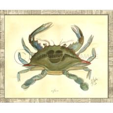 Crab04 Framed Art