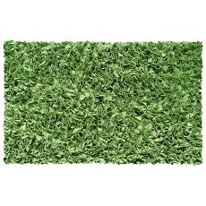 Shaggy Raggy Lime Shag Rug, 4.7 X 7.7
