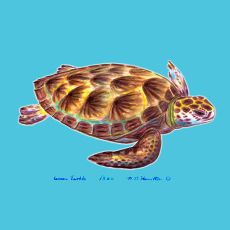 Sea Turtle Coaster Set Of 4