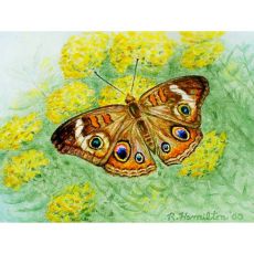 Buckeye Butterfly Door Mat 18X26