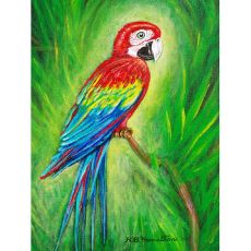 Red Macaw Outdoor Wall Hanging 24X30
