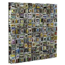 Zamia Wall Hanging