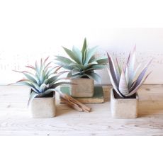 Large Artificial Succulents In Square Pots Set of 3