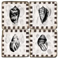 Shell Coasters With Border  S/4