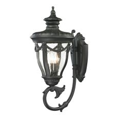 Anise 1 Light Outdoor Sconce In Textured Matte Black