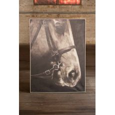 Oil Painting Black and White Side Viewith Horse with Silver Frame