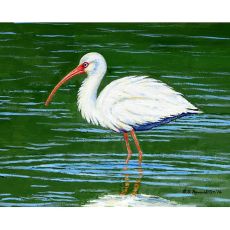 Dick's White Ibis Outdoor Wall Hanging 24x30