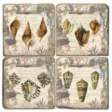 Shell Collection Italian Marble Coasters