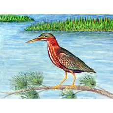 Green Heron Door Mat