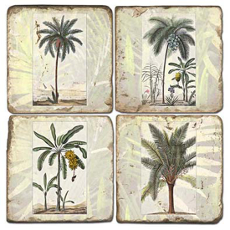 Palms Coasters S/4