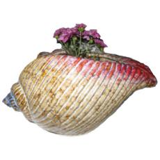 Sea Shell Planter