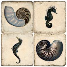 Seahorse And Shell Marble Coasters