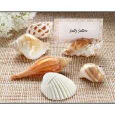 Real Shell Place Card Holders