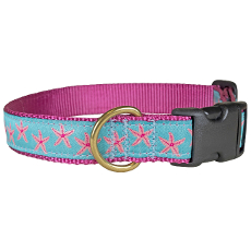 Starfish Aqua 1" Dog Collar