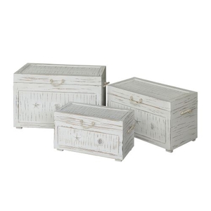 Seaside White Shell Set Of 3 Trunks