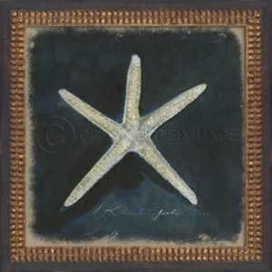 Seashell No1 Framed Art