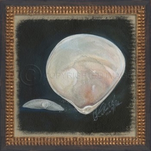 Seashell No5 Framed Art