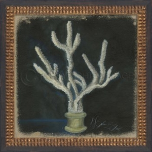 Seashell No6 Framed Art