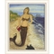 Mermaid From Miacomet Framed Art