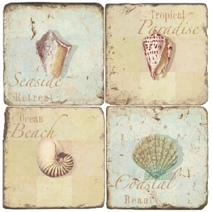 Sea Shells  Coasters