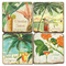 Tropical Drinks Coasters S/4