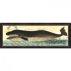 The Bowhead And Right Whale Large Framed Art