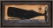 Unexpected Ride Framed Whale Art