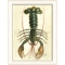 Lobster01 Framed  Art