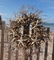 Seaside Driftwood Wreath