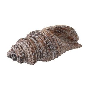 Decorative Wooden Conch Shell