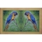 Blue Macaw Door Mat
