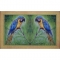 Blue Macaw Door Mat