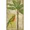 Parrot I Wall Art