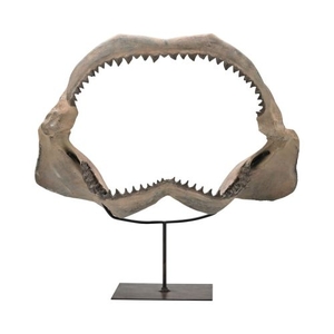 Cretaceous Shark Jaw, Aged Bone