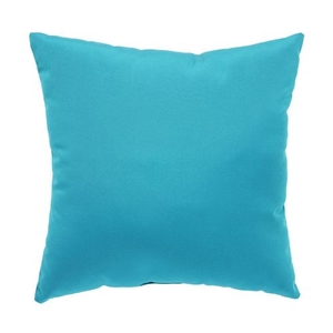 Canvas Aqua Solid Indoor / Outdoor Throw Pillow 18 inch