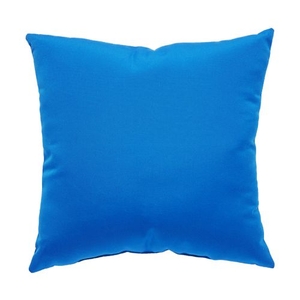 Canvas Blue Solid Indoor / Outdoor Throw Pillow 18 inch